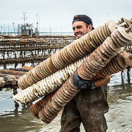 recycling van Charente Maritime oesterschelpen